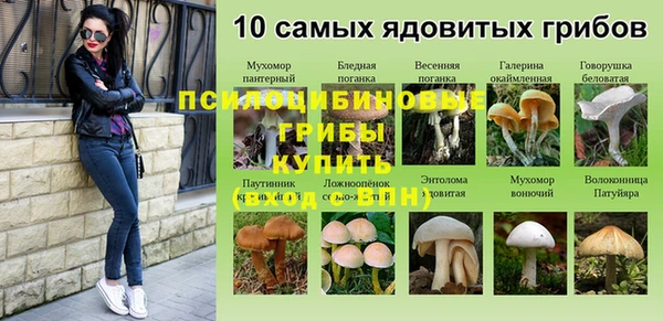 мяу мяу мука Кукмор
