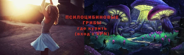 мяу мяу мука Кукмор