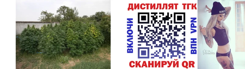 Купить  Нижнеудинск  Дистиллят ТГК Wax 