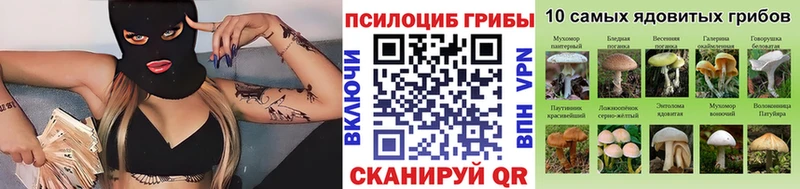 Купить  Нижнеудинск  Галлюциногенные грибы мухоморы 